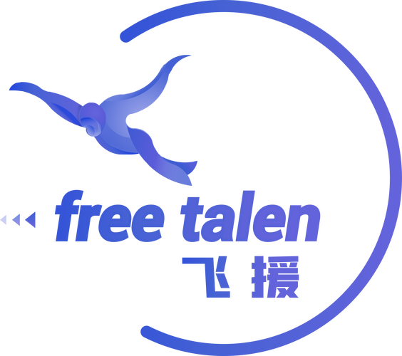 上海飞援科技有限责任公司